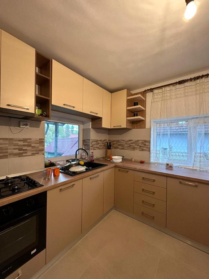 Vila Casa Eroilor Curtea de Argeş Exteriér fotografie