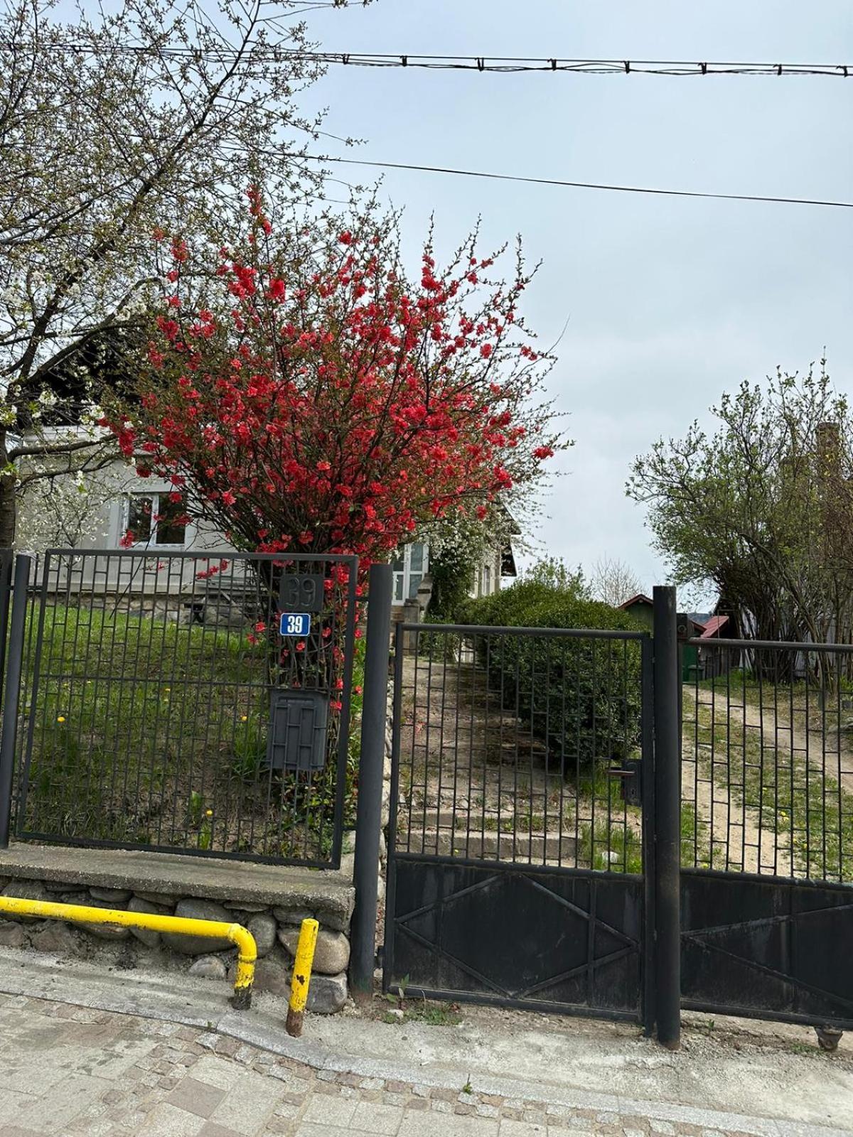 Vila Casa Eroilor Curtea de Argeş Exteriér fotografie