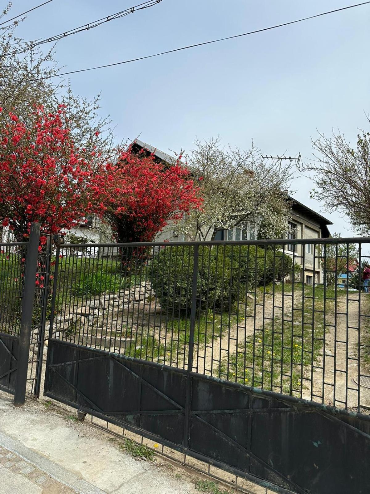 Vila Casa Eroilor Curtea de Argeş Exteriér fotografie
